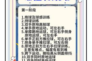 为什么篮球训练要分为不同阶段:分阶段训练的重要性与最佳实践
